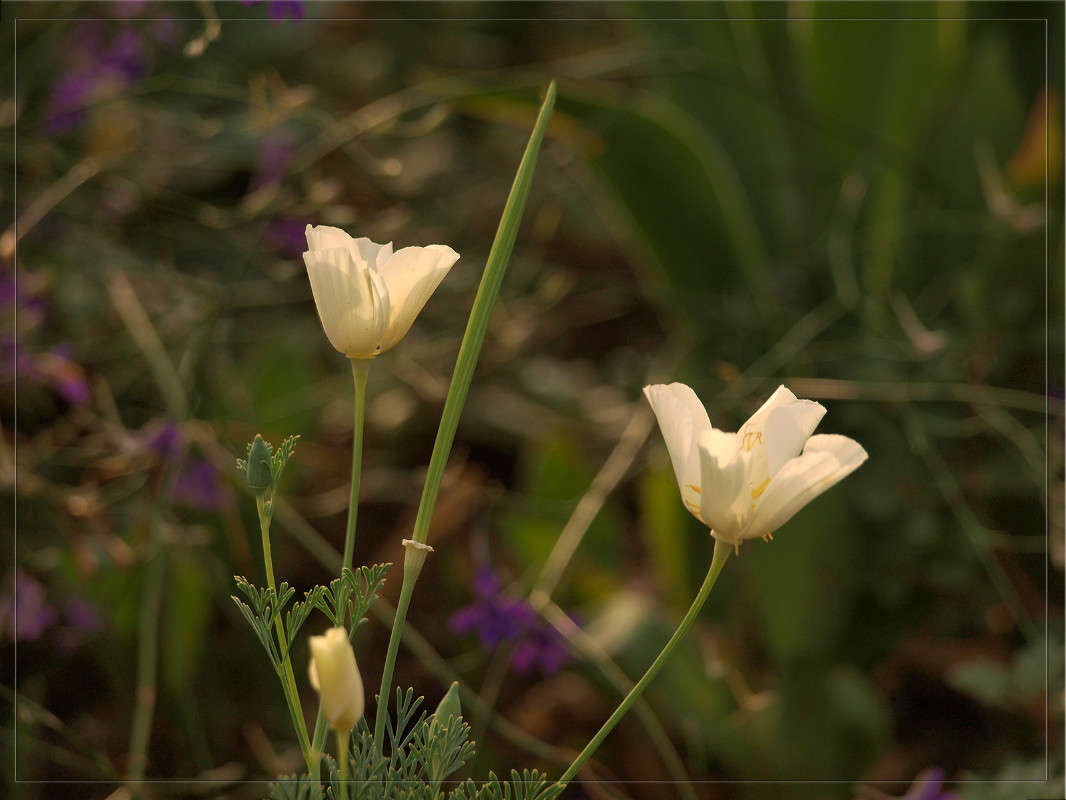 �� �� ��������� ������ ����� ������  �� PhotoGeek.ru #������ ��� �������