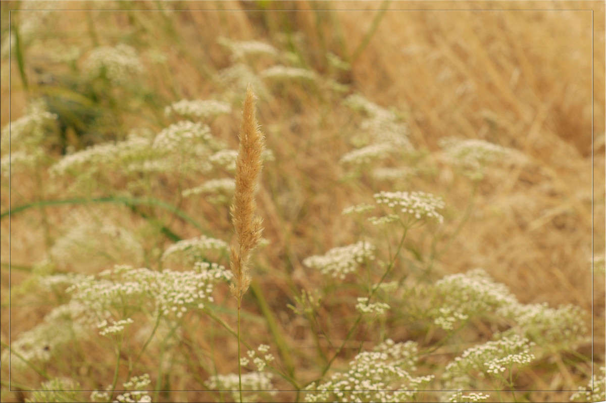 �� �� ��������� ������ 2 ����� ������  �� PhotoGeek.ru #������ ��� �������