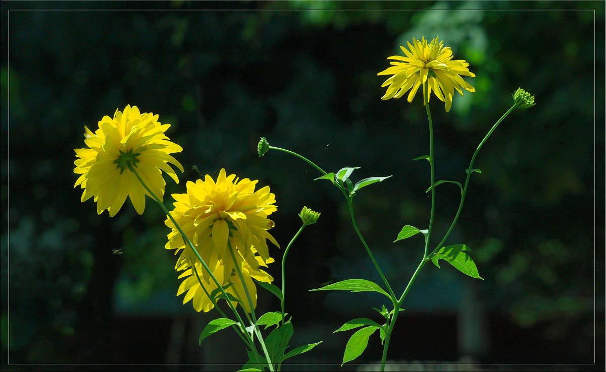 ������ ���� ����� ������  �� PhotoGeek.ru #������ ��� �������