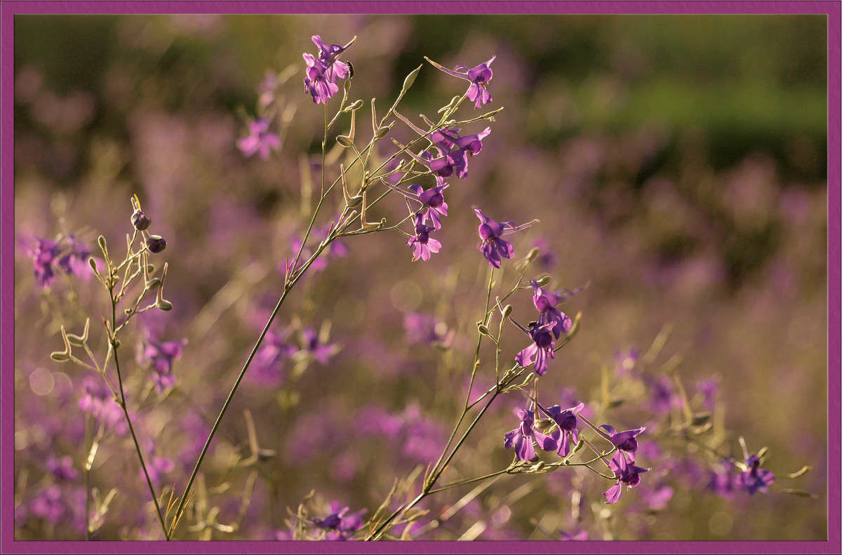 ���������� ���� ����� ������  �� PhotoGeek.ru #������ ��� �������