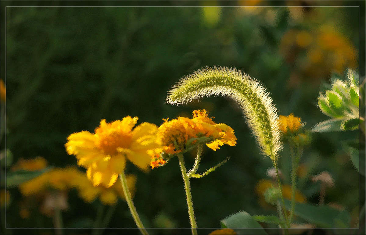 ������� � ����� ����� ������  �� PhotoGeek.ru #������ ��� �������