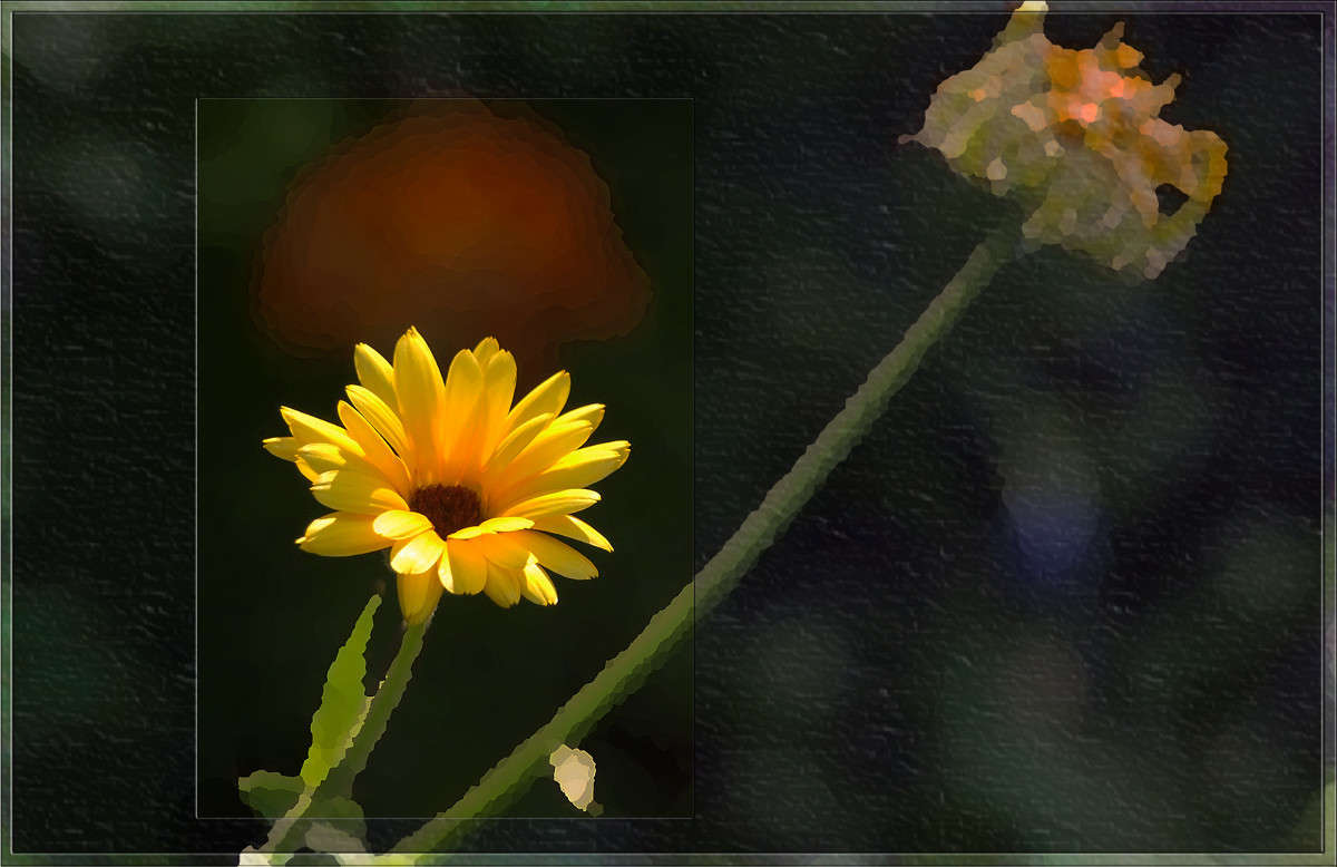 ������ ��������� ����� ������  �� PhotoGeek.ru #������ ��� �������