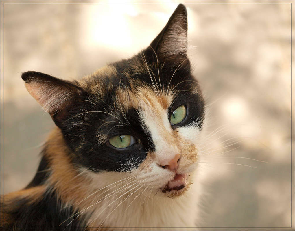 ������ ���� ����� ������  �� PhotoGeek.ru #�������� ���