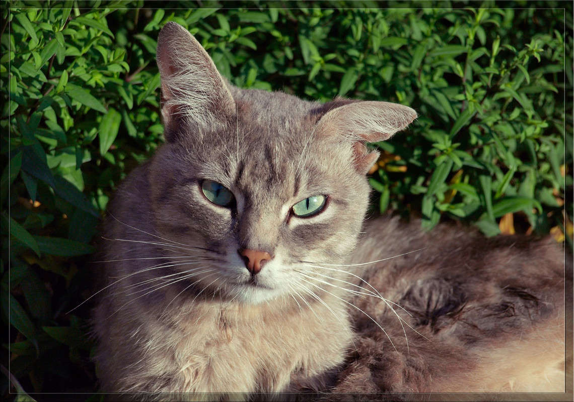 ������ ���� 2 ����� ������  �� PhotoGeek.ru #�������� ���