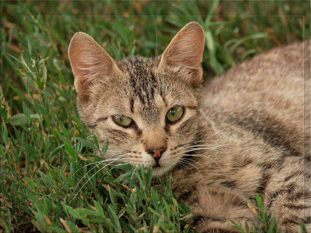 ������ ���� 3 ����� ������  �� PhotoGeek.ru #�������� ���