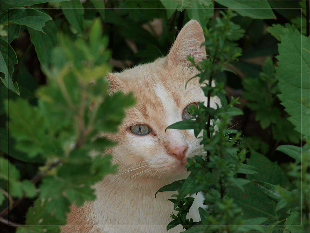 ������ ���� 5 ����� ������  �� PhotoGeek.ru #�������� ���