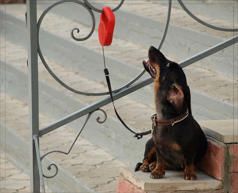 ������������ ������� ����� ������  �� PhotoGeek.ru #�������� ���