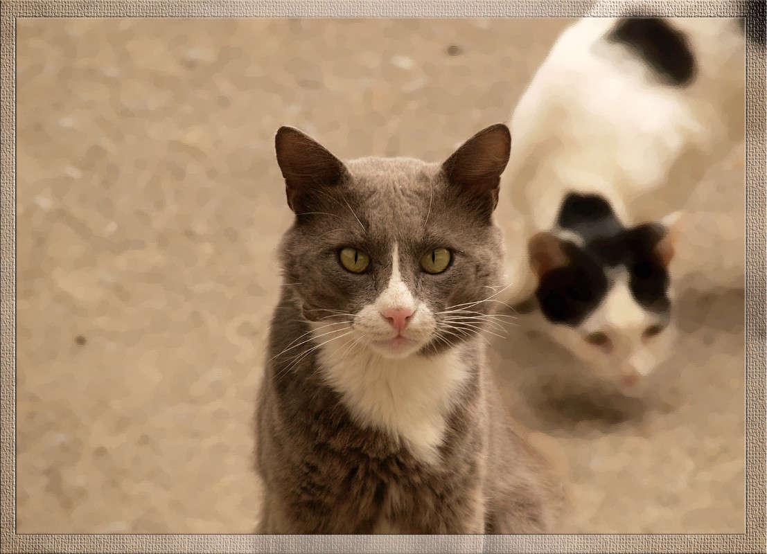 ������� � ��� �� ����� ����� ������  �� PhotoGeek.ru #�������� ���