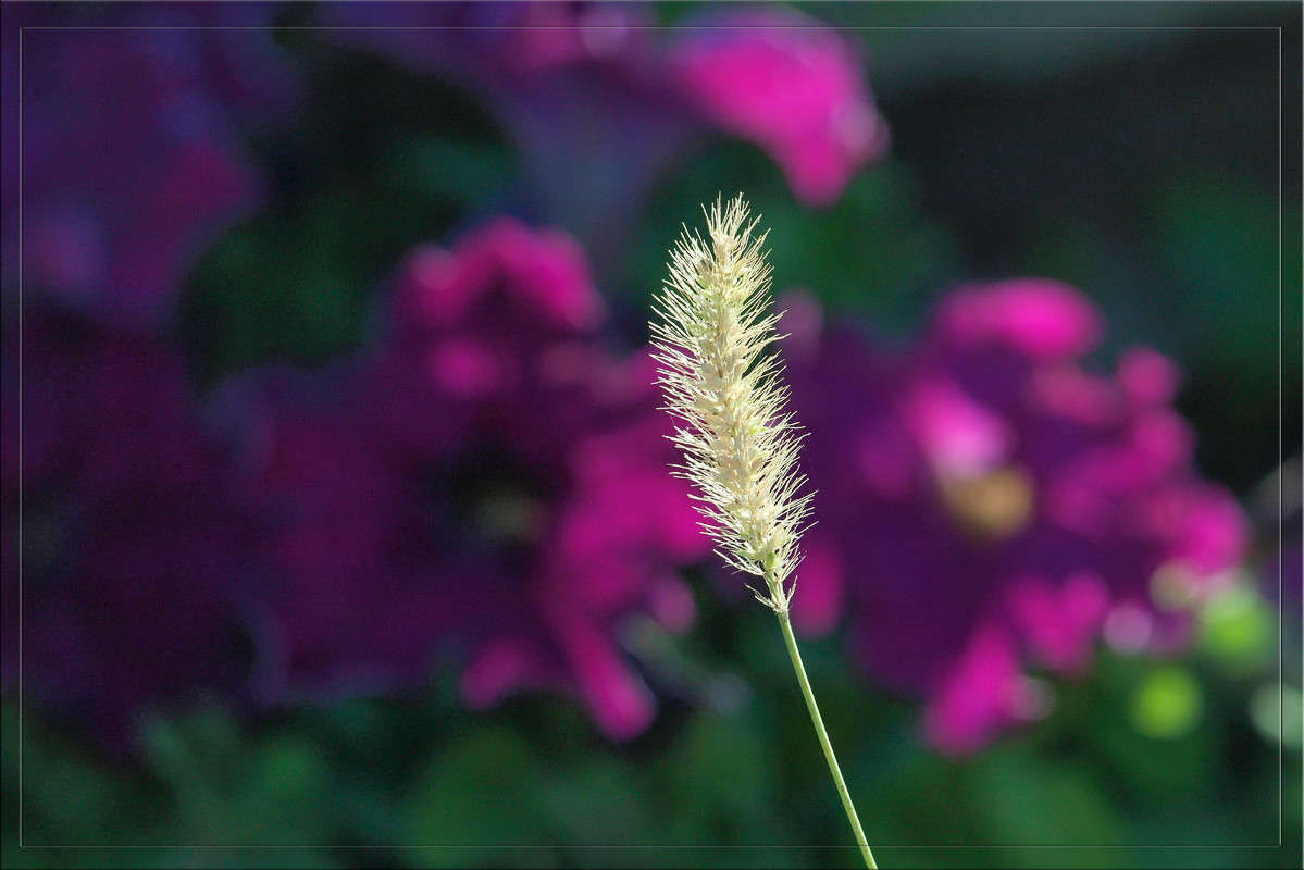 ����� ����� ��� ����� ������  �� PhotoGeek.ru #������ ��� �������