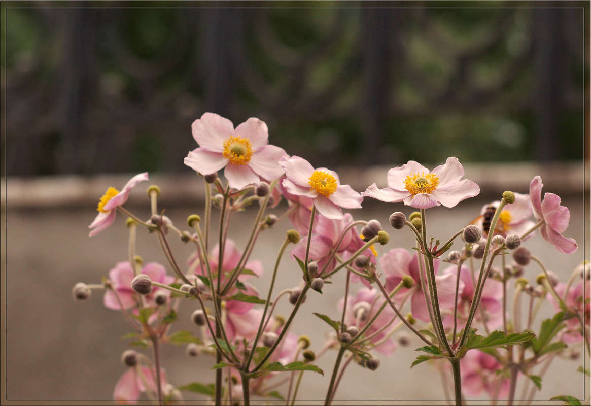 ����������� ����� ������  �� PhotoGeek.ru #������ ��� �������