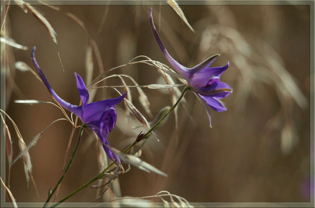 ��������� ���������� ����� ������  �� PhotoGeek.ru #������ ��� �������