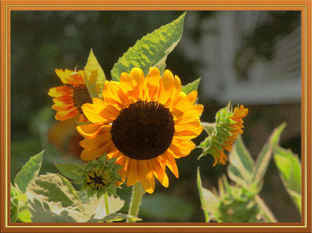 ������ ����� ������  �� PhotoGeek.ru #������ ��� �������