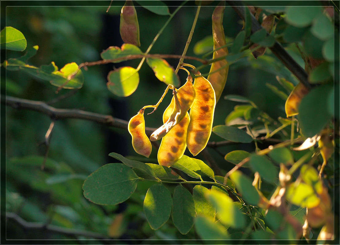 ������� ����� ������  �� PhotoGeek.ru #������ ��� �������