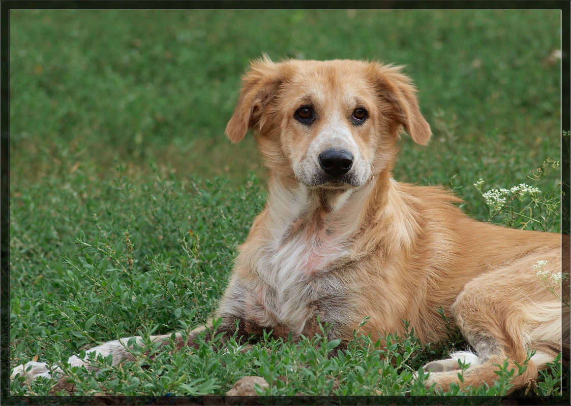 �� ���������� ����� ������  �� PhotoGeek.ru #�������� ���