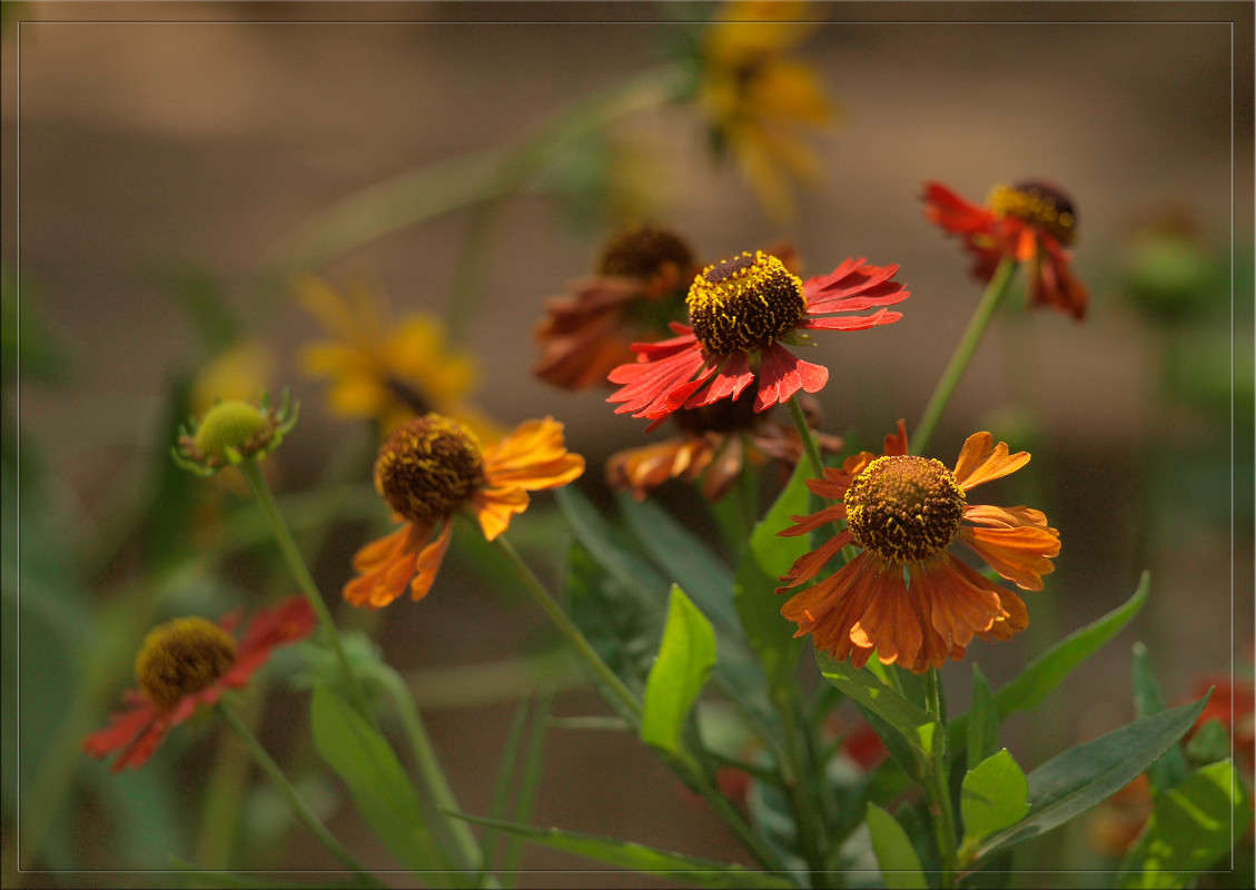 ����������� ����� ������  �� PhotoGeek.ru #������ ��� �������