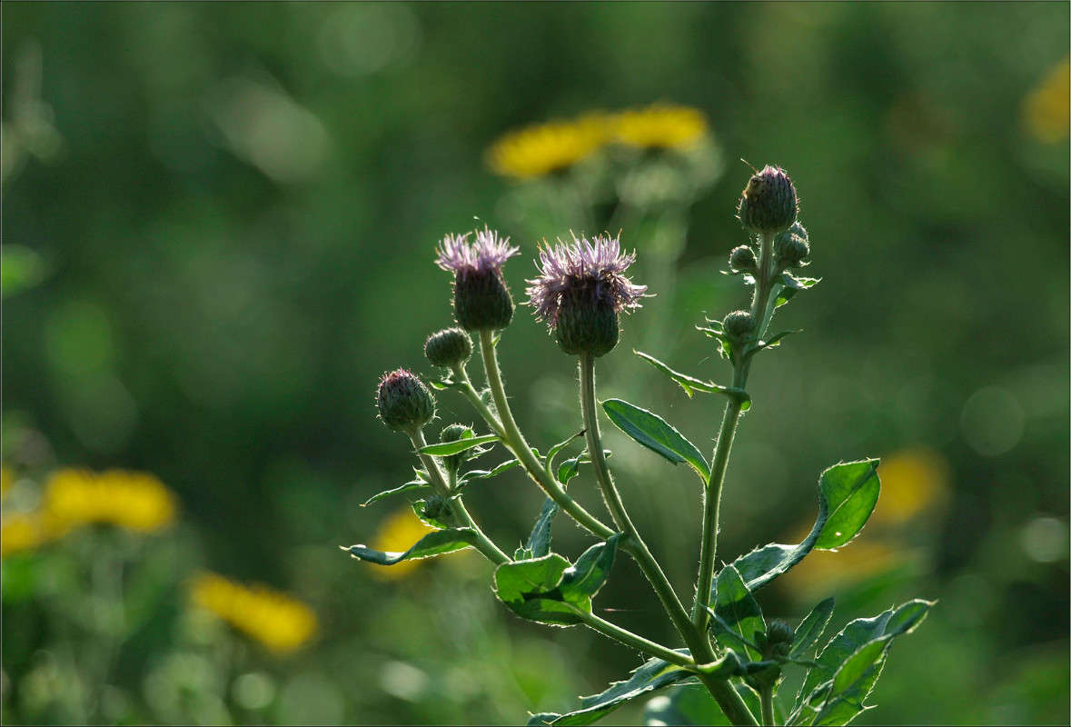 ������ ����� ������  �� PhotoGeek.ru #������ ��� �������