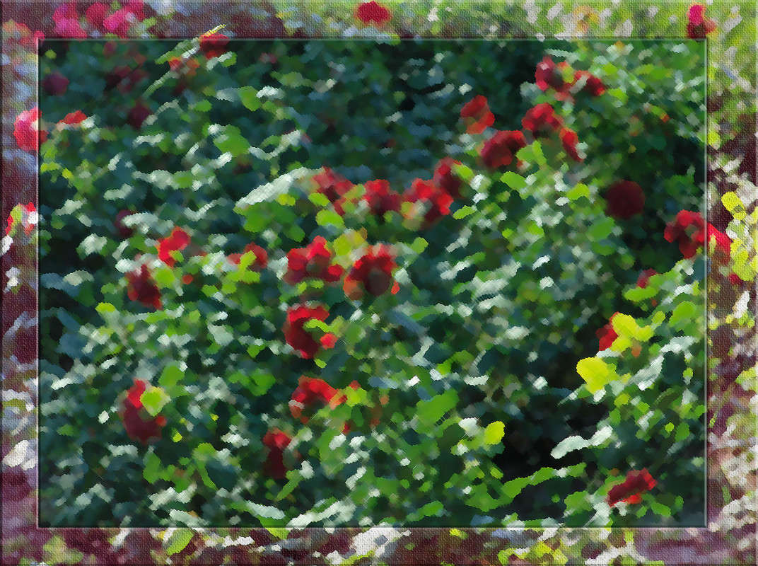 ��� ���� ����� ������  �� PhotoGeek.ru #������ ��� �������