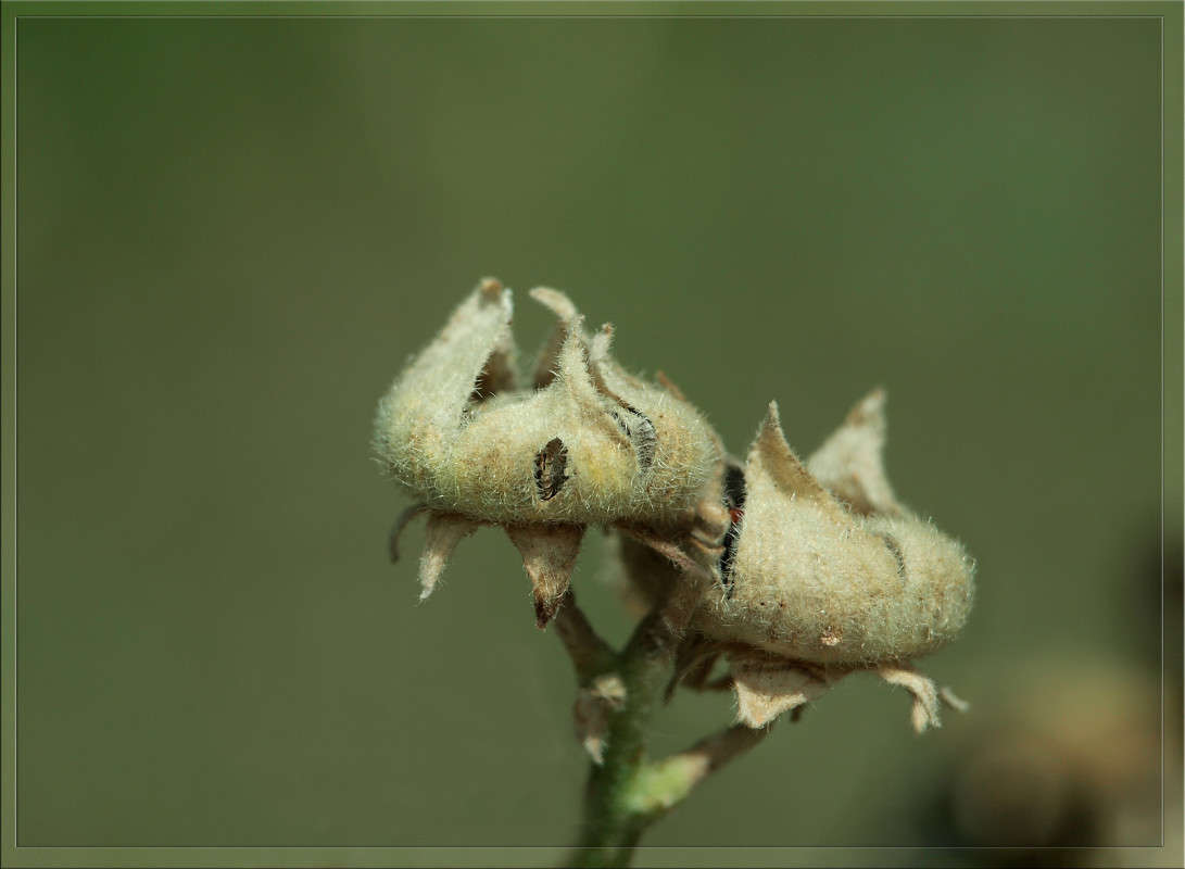 ���� �������? ����� ������  �� PhotoGeek.ru #������ ��� �������