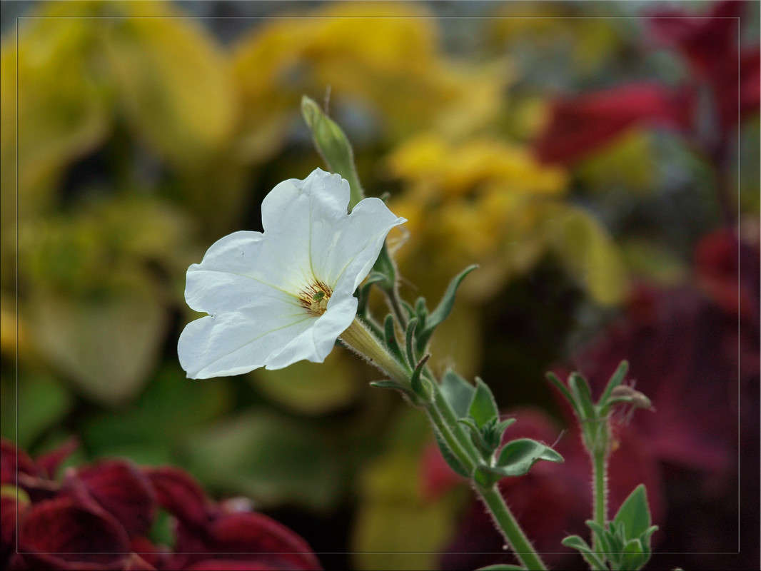 ����� ����� ������  �� PhotoGeek.ru #������ ��� �������