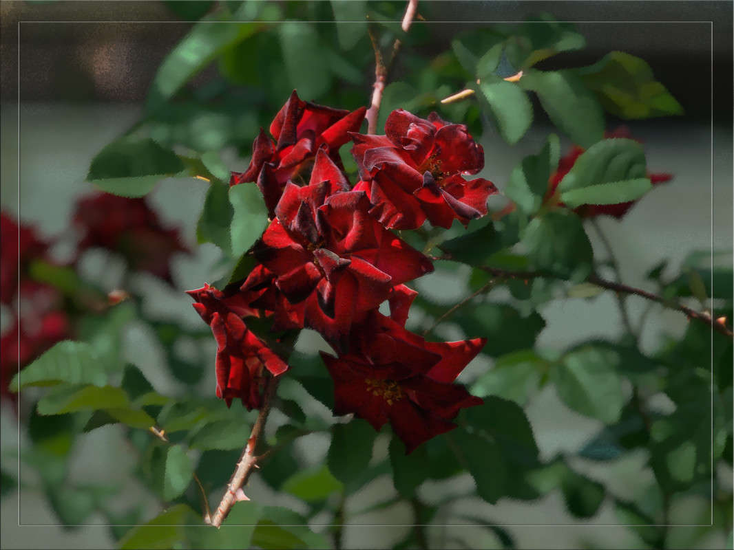 ��������� ����� ������  �� PhotoGeek.ru #������ ��� �������