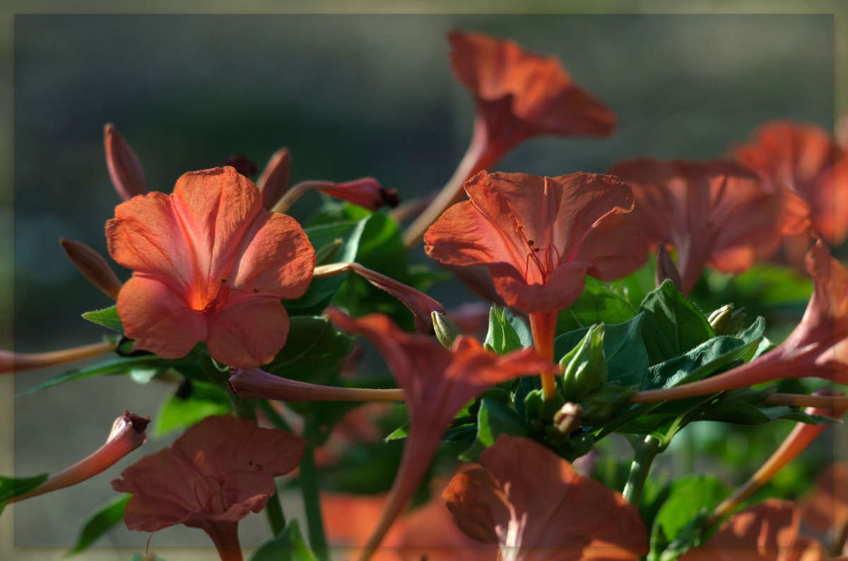 ������ ����� ������  �� PhotoGeek.ru #������ ��� �������