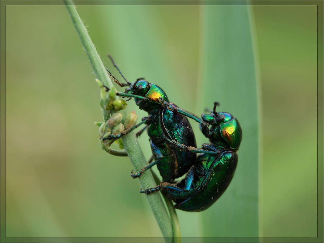 ���� ����� ����� ����� ������  �� PhotoGeek.ru #�����