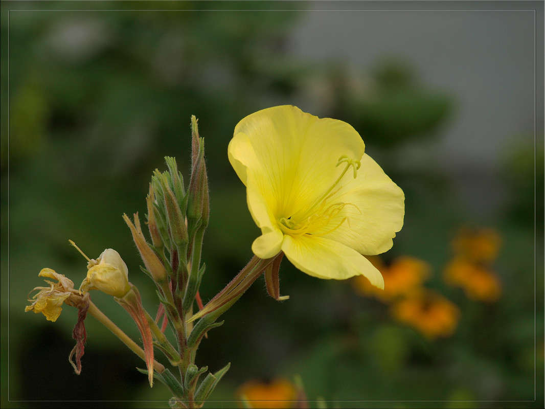 �������� �������� 2 ����� ������  �� PhotoGeek.ru #������ ��� �������