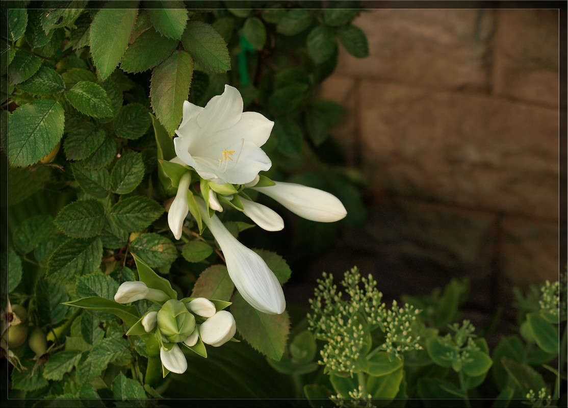 �������� �������� 2 ����� ������  �� PhotoGeek.ru #������ ��� �������