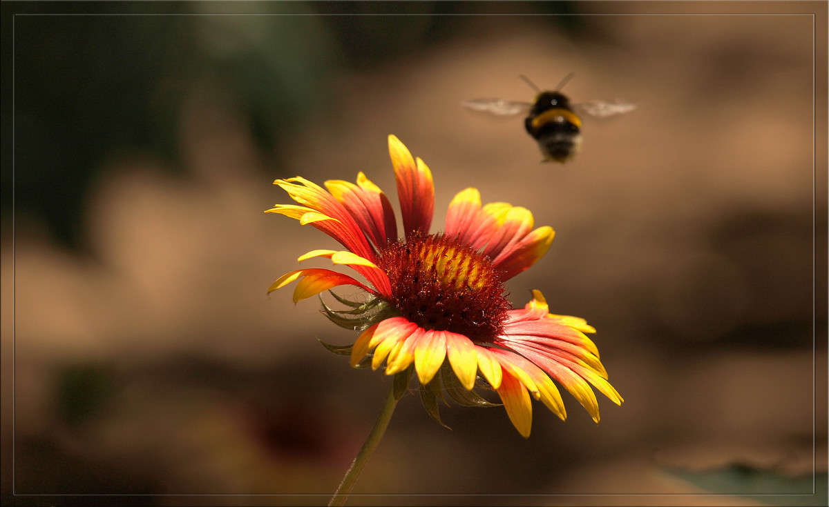 ����� ������� ����� ������  �� PhotoGeek.ru #������ ��� �������