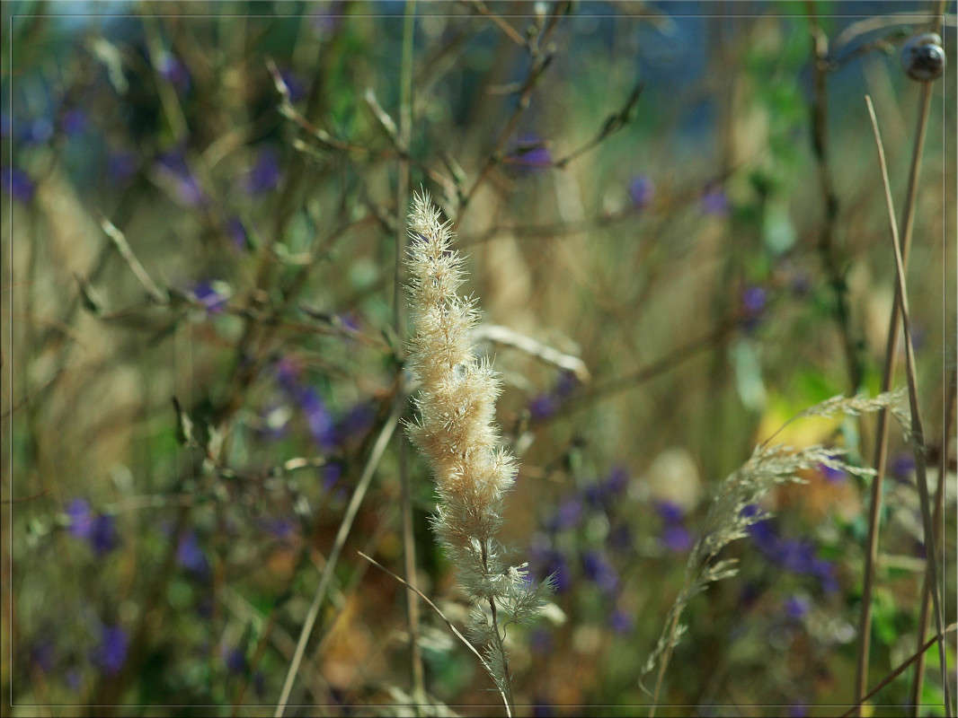 � ������ ���� ����� ������  �� PhotoGeek.ru #������ ��� �������