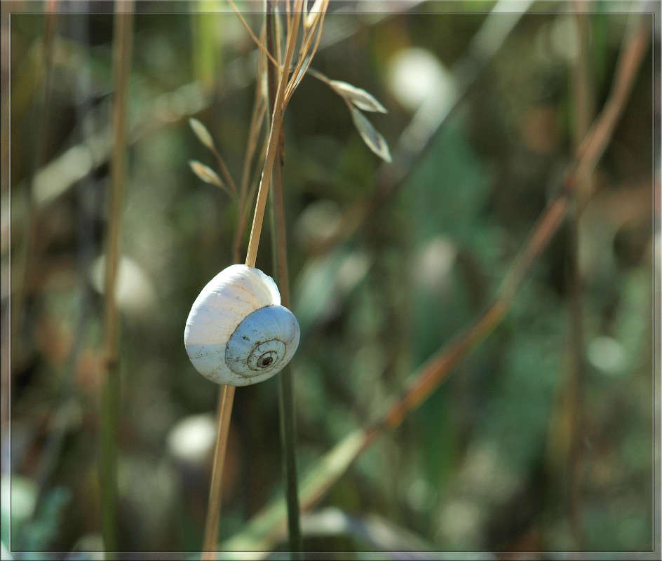 � ������ ���� 2 ����� ������  �� PhotoGeek.ru #������ ��� �������