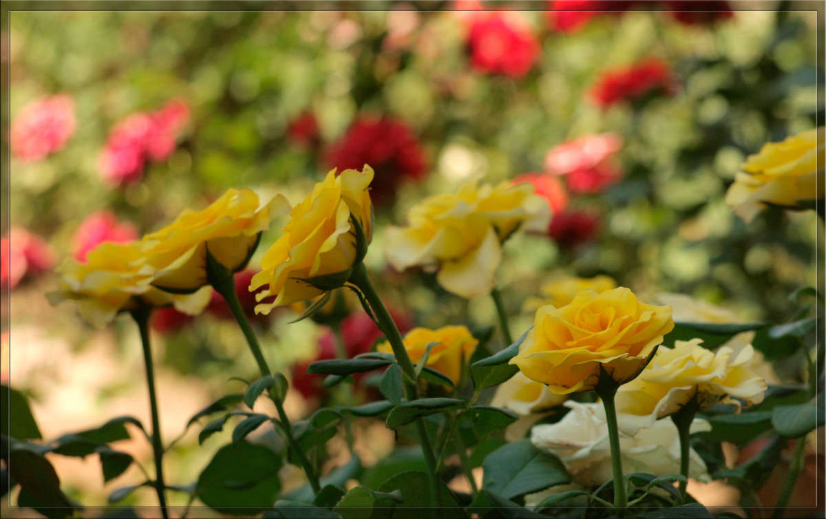 ������� ��� ����� ������  �� PhotoGeek.ru #������ ��� �������