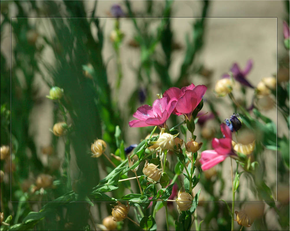 ����������� ����� ������  �� PhotoGeek.ru #������ ��� �������