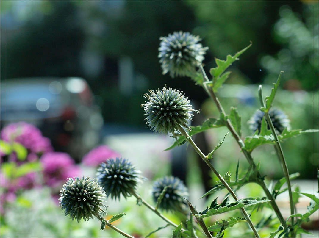 ������ ����� ����� ������  �� PhotoGeek.ru #������ ��� �������