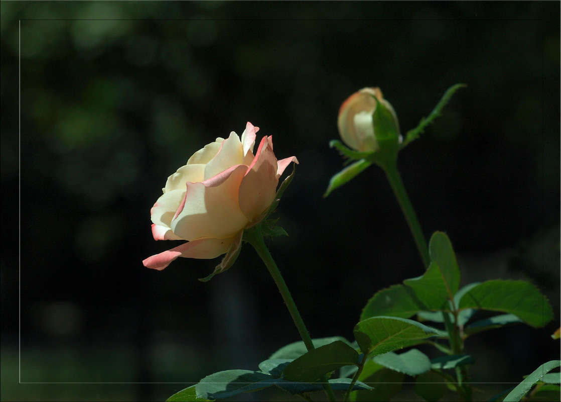 ������ ����� 2 ����� ������  �� PhotoGeek.ru #������ ��� �������