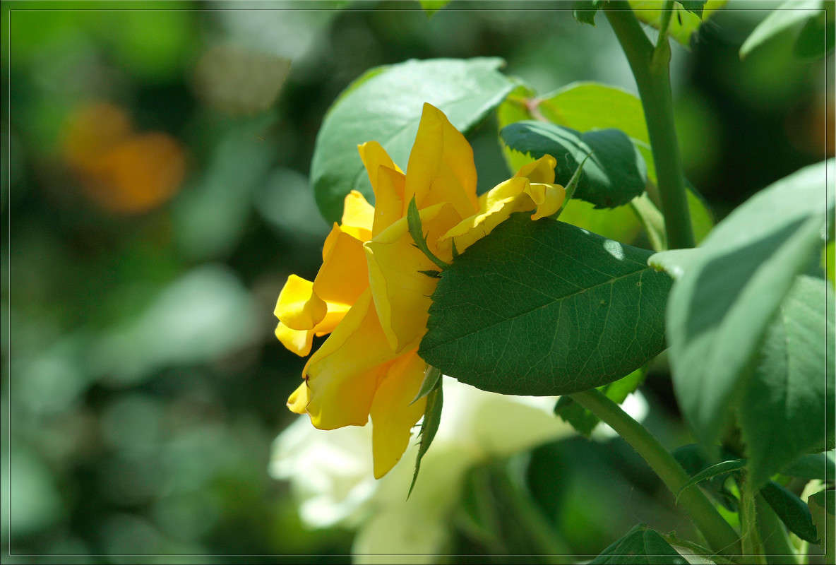 ������ ����� 3 ����� ������  �� PhotoGeek.ru #������ ��� �������