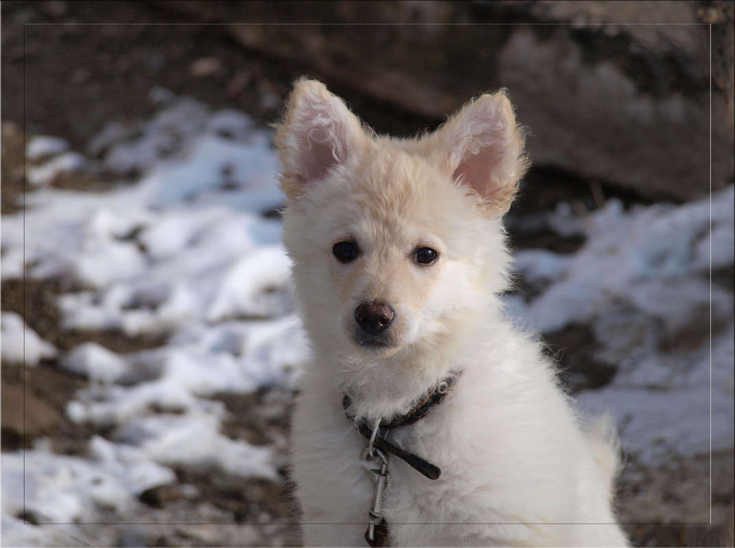 �� ���� ����� ������  �� PhotoGeek.ru #�������� ���