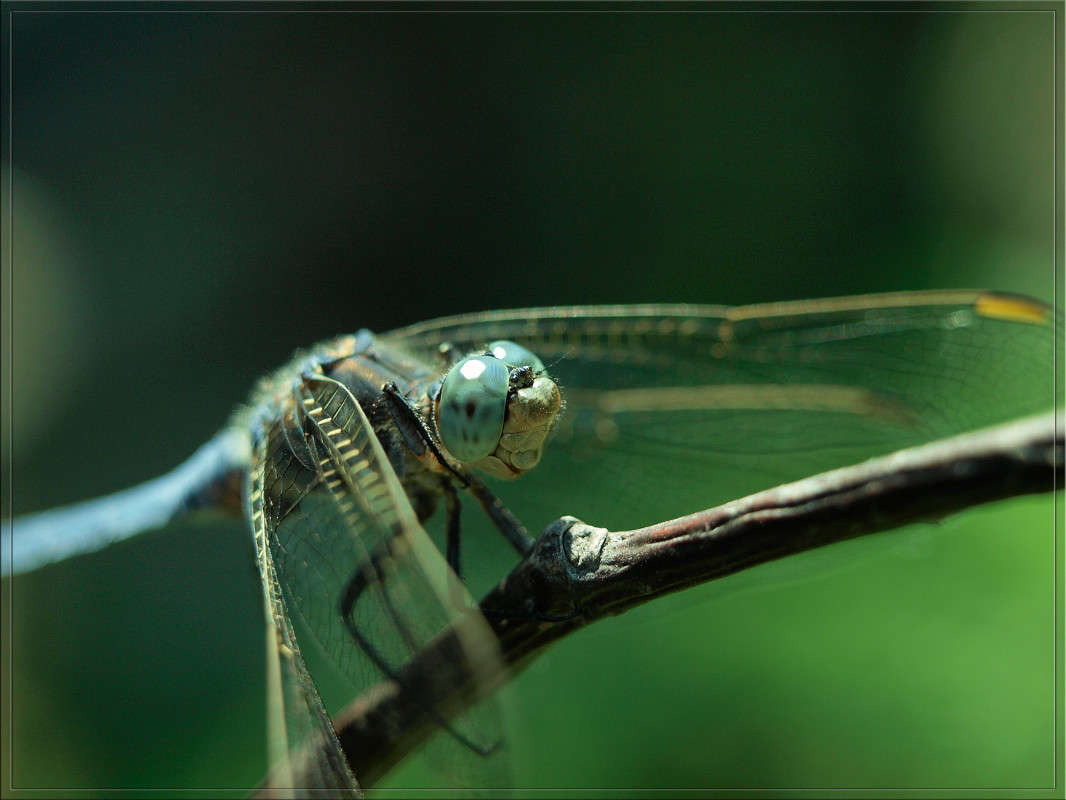 ���������� ����� ������  �� PhotoGeek.ru #�����