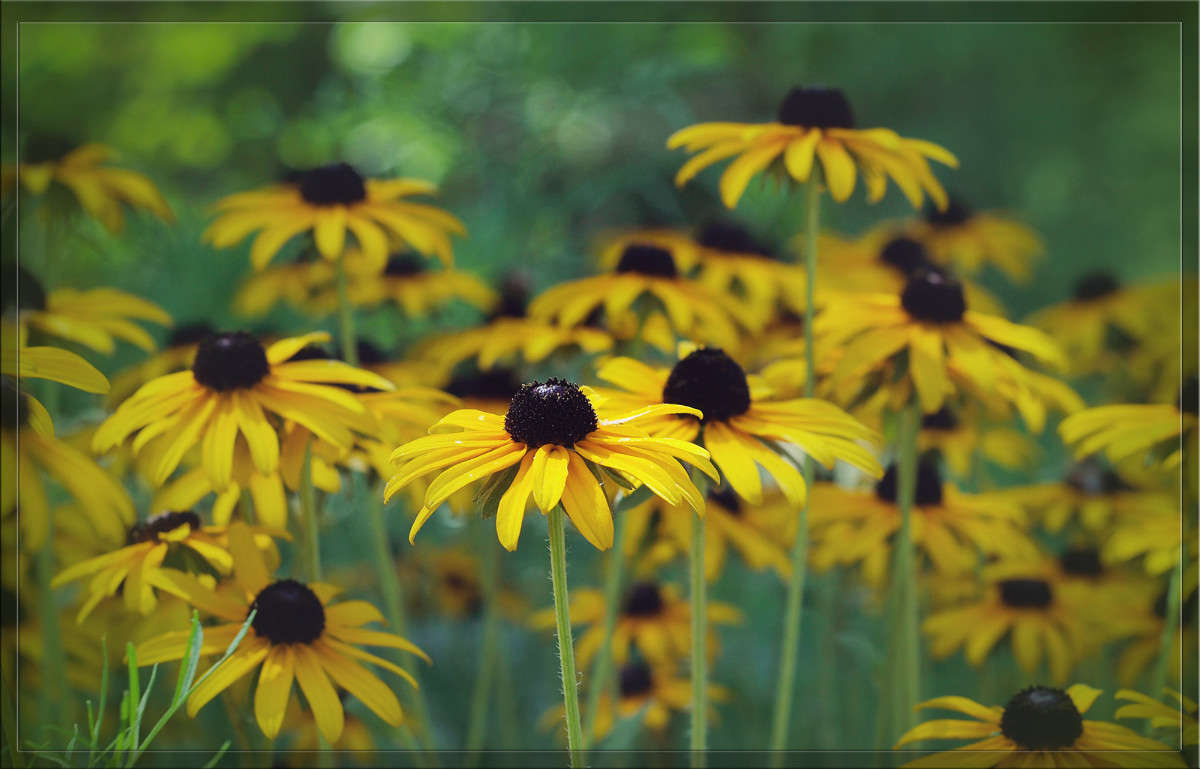 ������ ������ ����� ������  �� PhotoGeek.ru #������ ��� �������