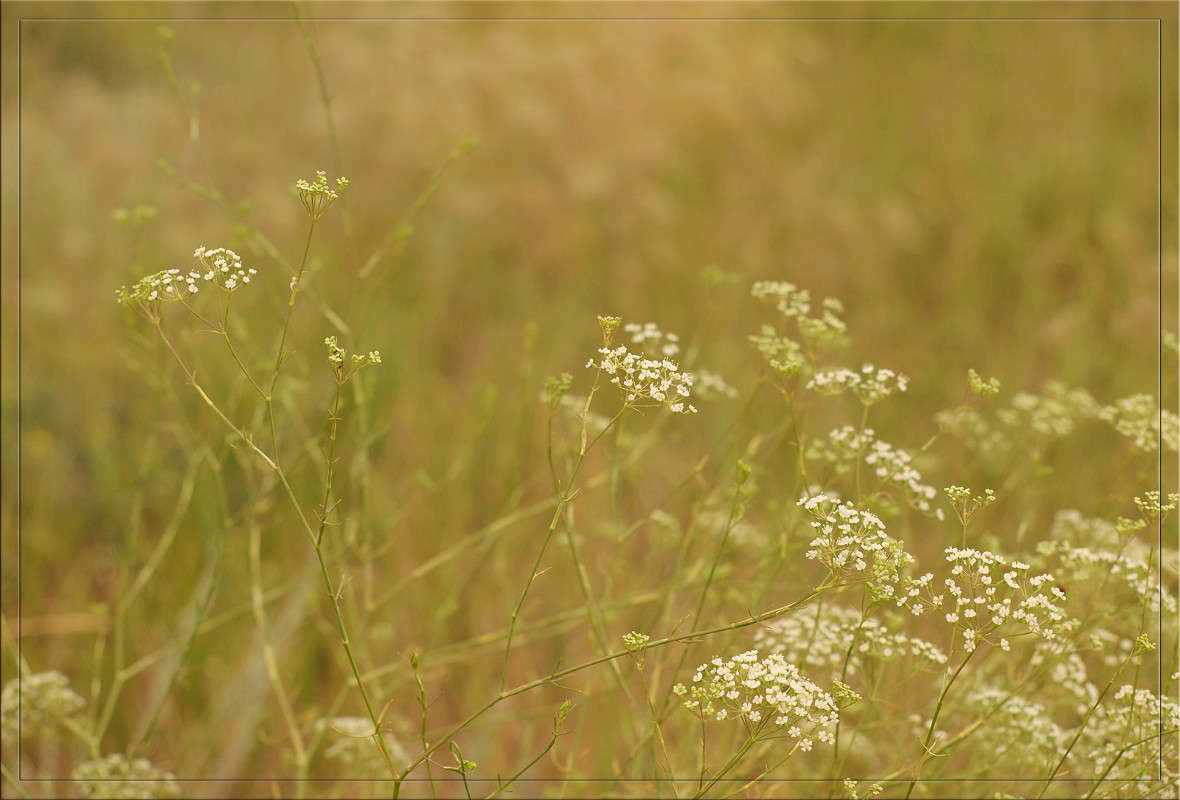 � ������ ���� 3 ����� ������  �� PhotoGeek.ru #������ ��� �������