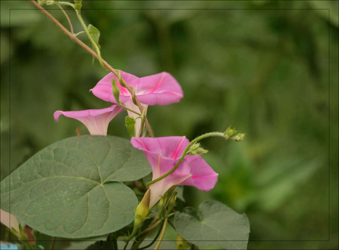 �������� ����� ������  �� PhotoGeek.ru #������ ��� �������