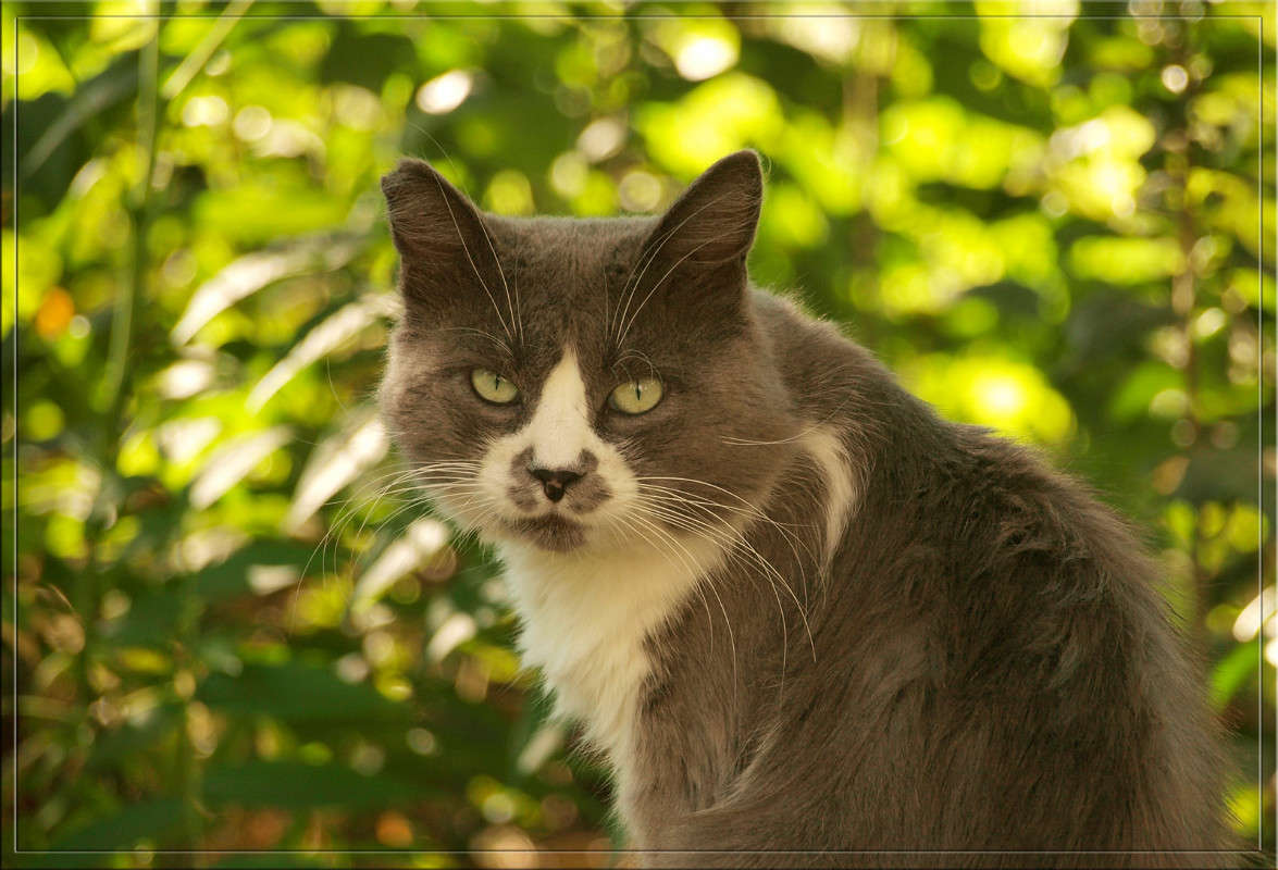 ������������� ����� � ������ ���� ����� ������  �� PhotoGeek.ru #�������� ���