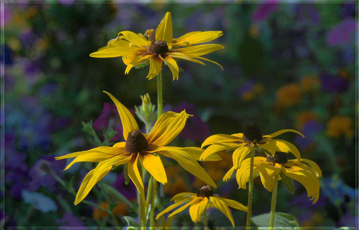 ������ ����� 4 ����� ������  �� PhotoGeek.ru #������ ��� �������