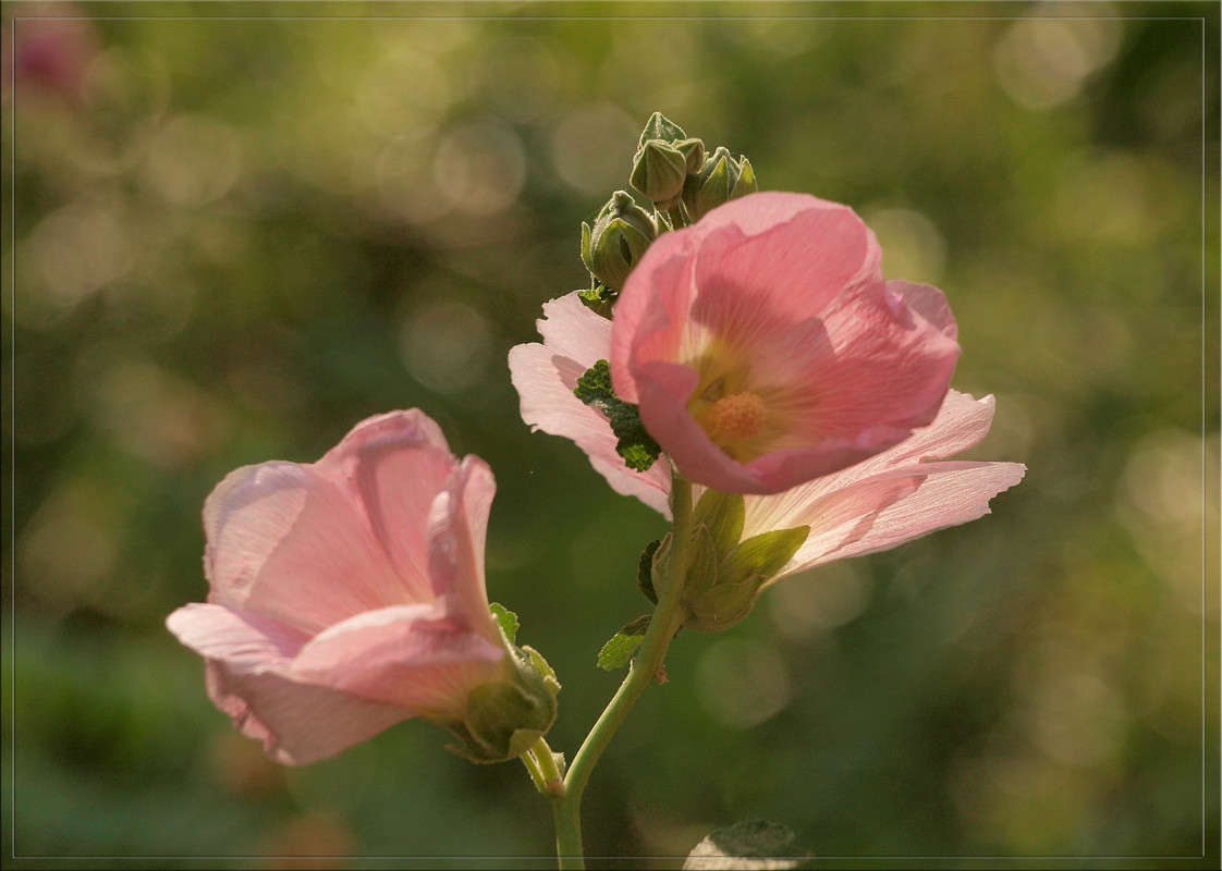 ������ ����� 5 ����� ������  �� PhotoGeek.ru #������ ��� �������