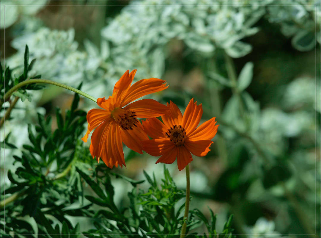 ������ ����� 6 ����� ������  �� PhotoGeek.ru #������ ��� �������