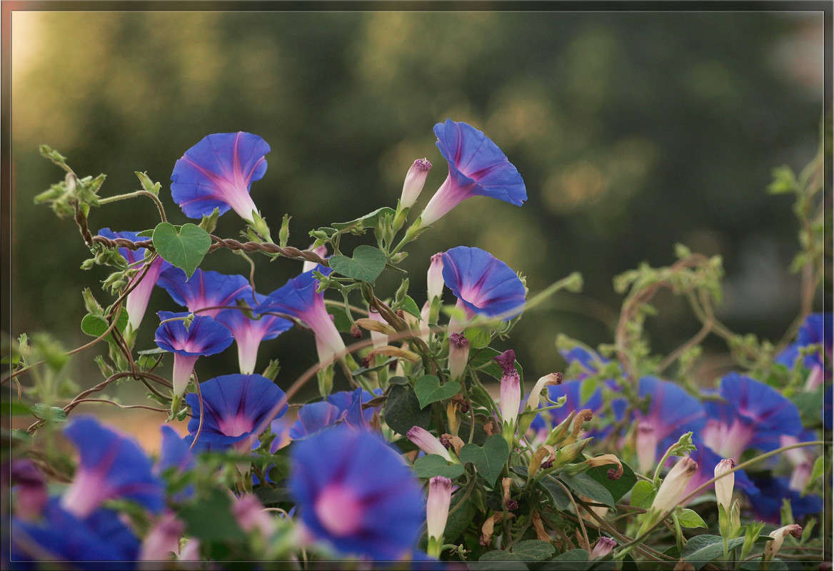 ���������������� ����� ������  �� PhotoGeek.ru #������ ��� �������