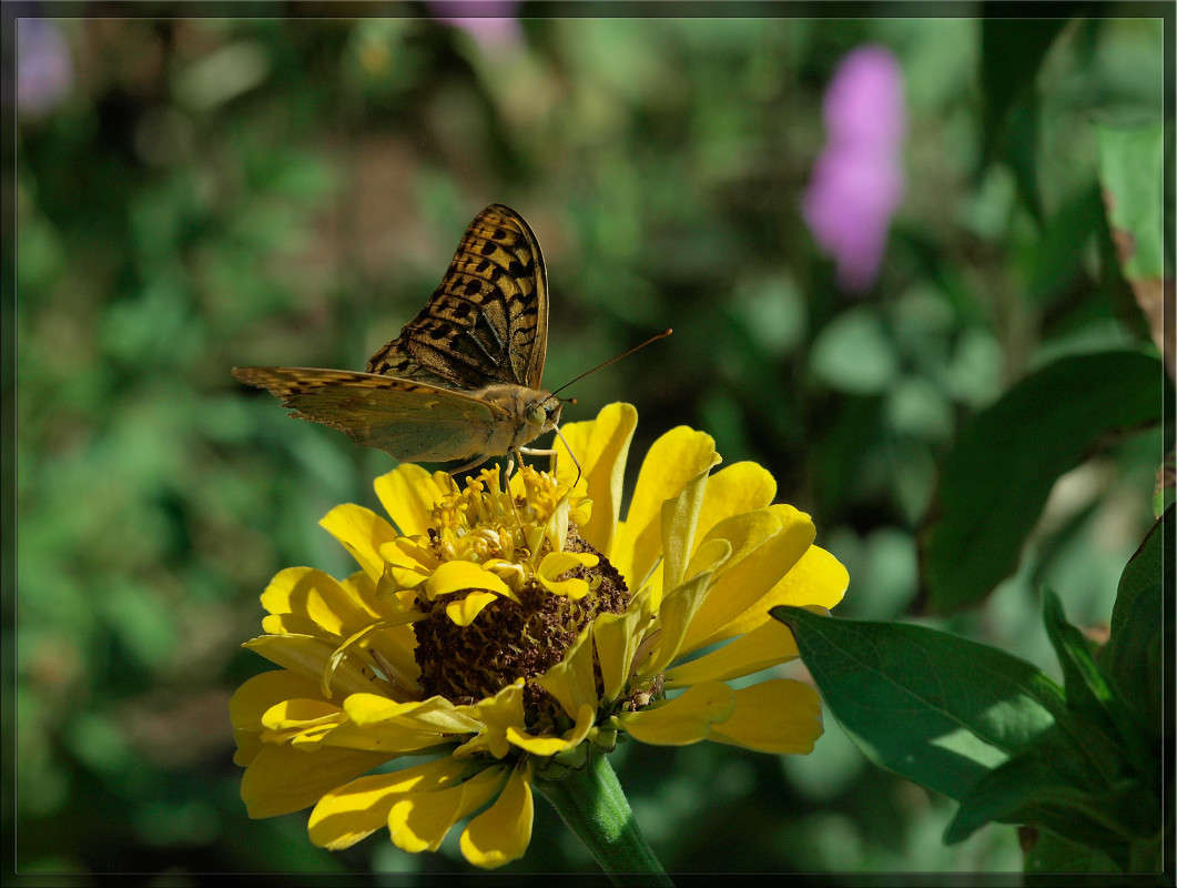 ����� �� �������� ����� ������  �� PhotoGeek.ru #�����