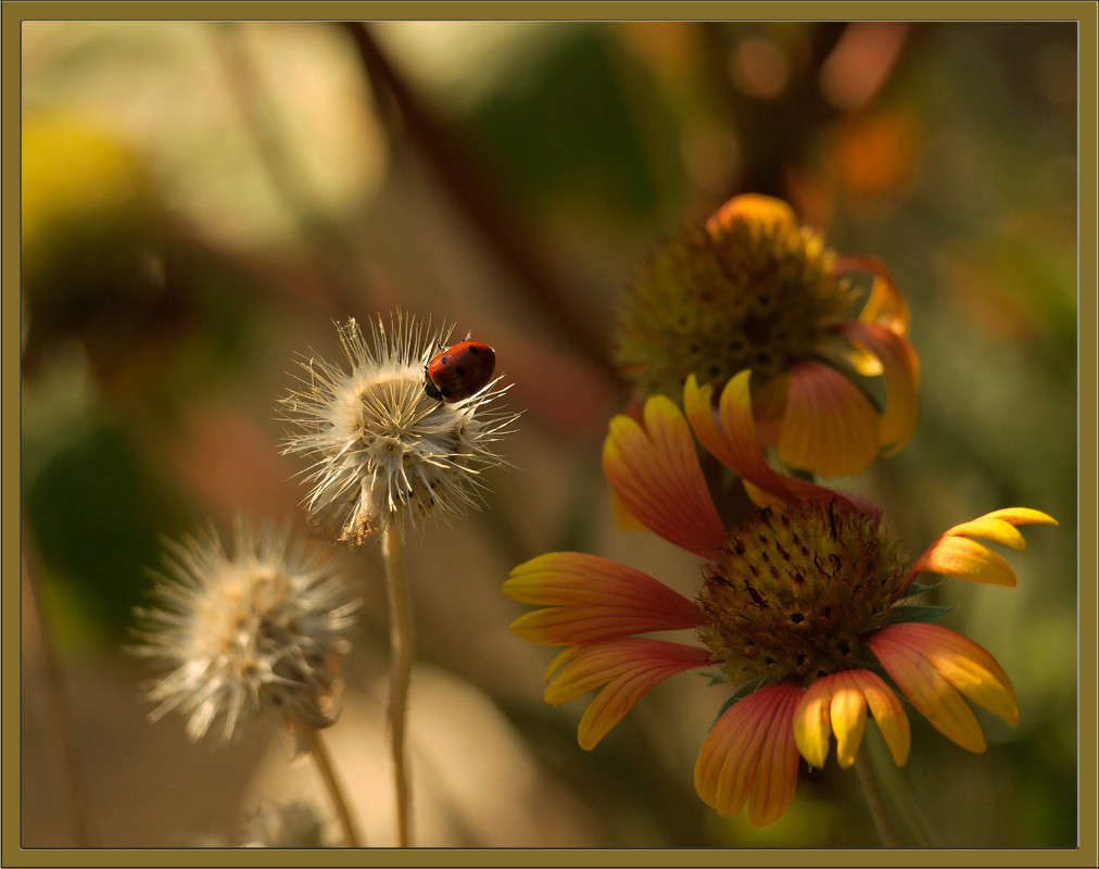 ������� �� ����� ����� ������  �� PhotoGeek.ru #������ ��� �������