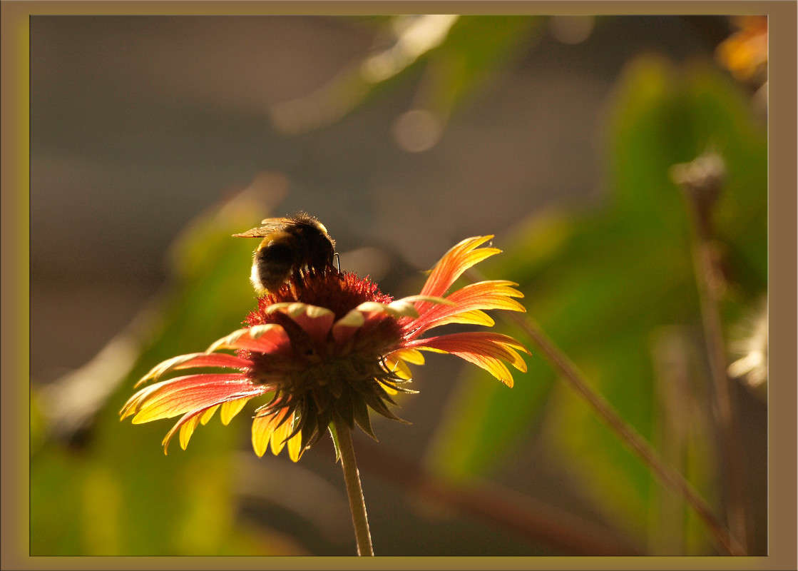 ������ ����� ������  �� PhotoGeek.ru #�����