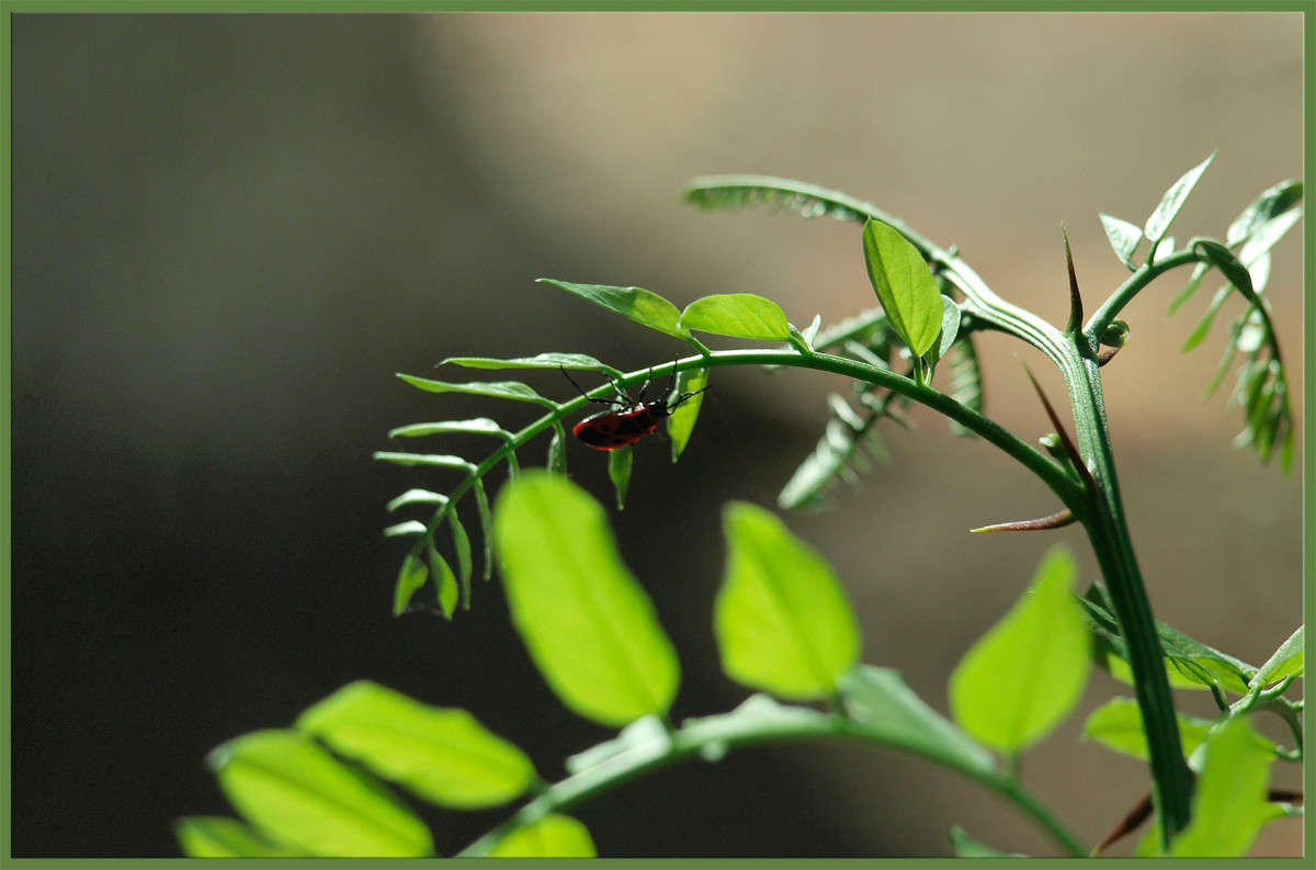 �������� �� ������� ����� ������  �� PhotoGeek.ru #������ ��� �������